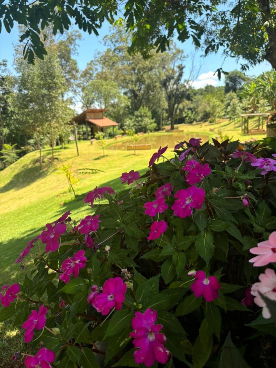 Hotel Fazenda Brotas Sp Extérieur photo